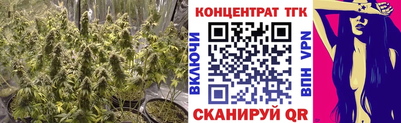 ТГК вейп с тгк  дарнет шоп  kraken как войти  Сухиничи 