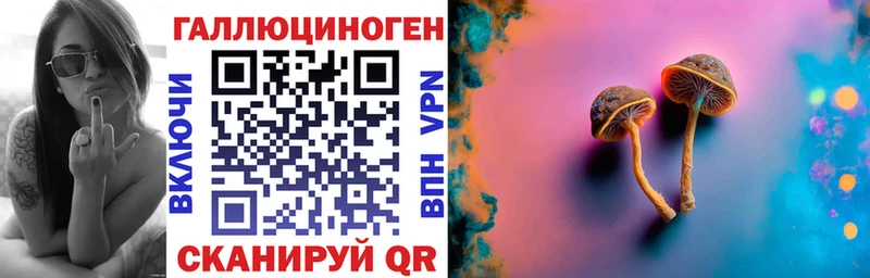 где можно купить   Сухиничи  мориарти Telegram  Галлюциногенные грибы MAGIC MUSHROOMS 