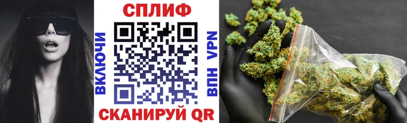 Бошки Шишки планчик  Сухиничи 